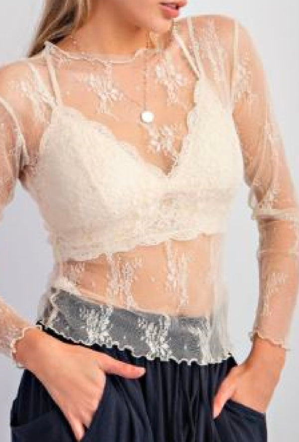 Kenleigh - All over sheer lace fitted silhouette top - Ivory